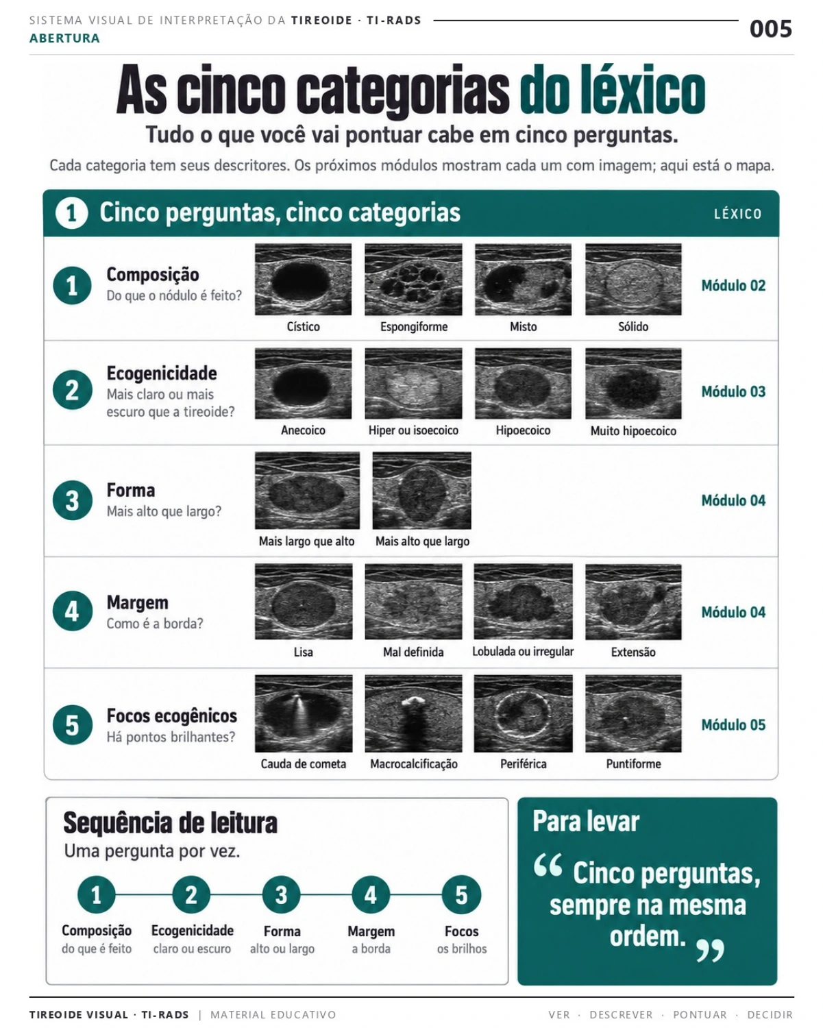 Página 5: As cinco categorias do léxico. Prévia do PDF Tireoide Visual TI-RADS; imagens didáticas simuladas.