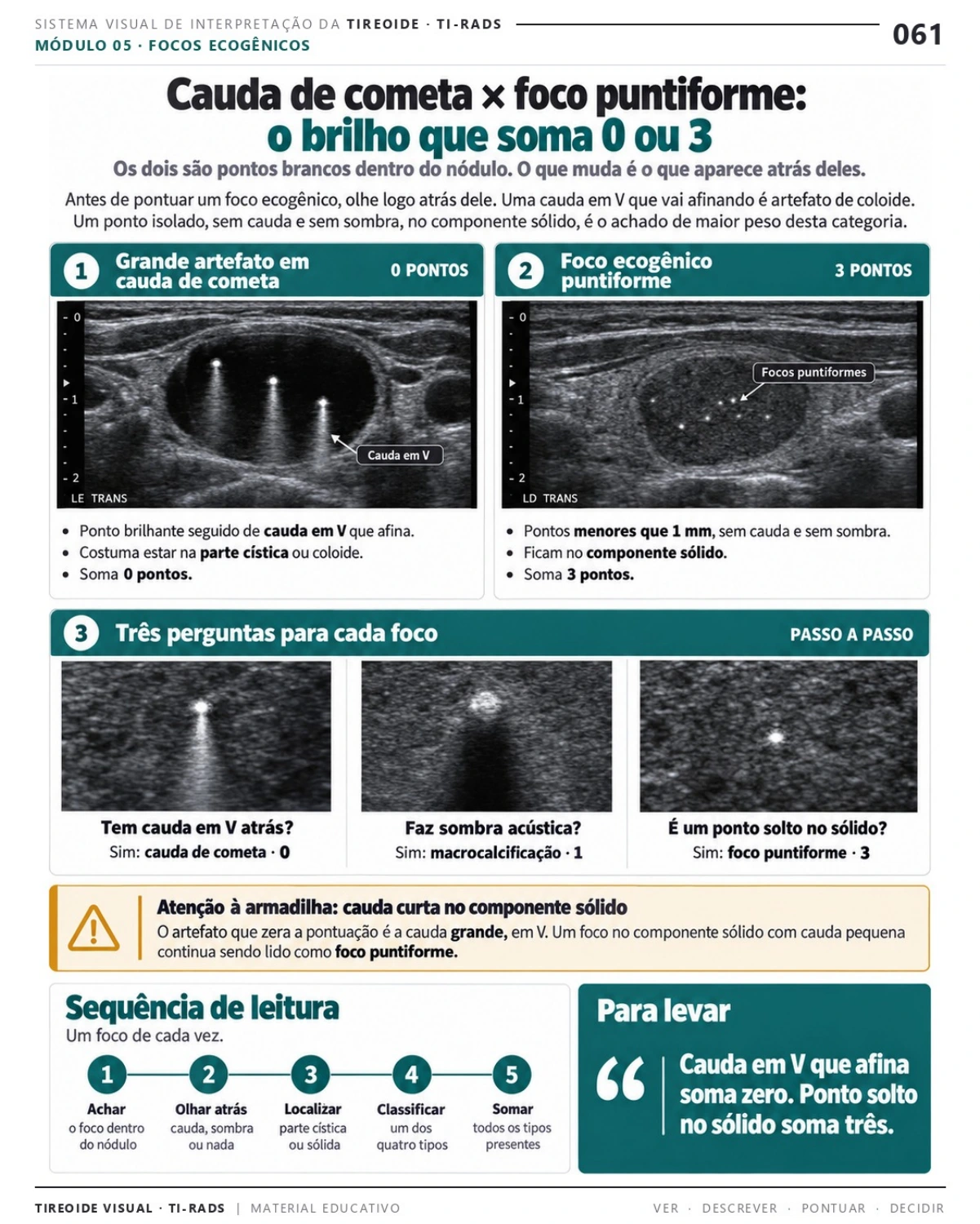 Página 61: Cauda de cometa × foco puntiforme. Prévia do PDF Tireoide Visual TI-RADS; imagens didáticas simuladas.